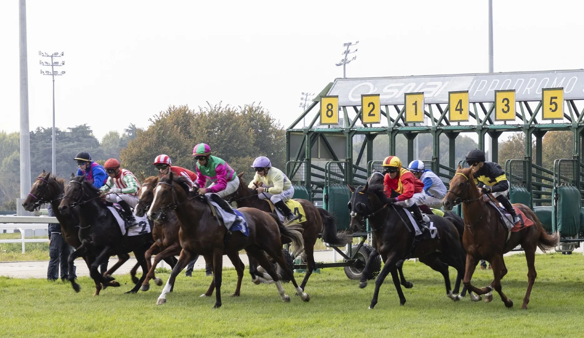 Ippica, sabato all’Ippodromo Snai San Siro giornata di galoppo con il Premio Del Piazzale di Gruppo 3 e le Listed per il Cumani, l’Omenoni e l’Eupili