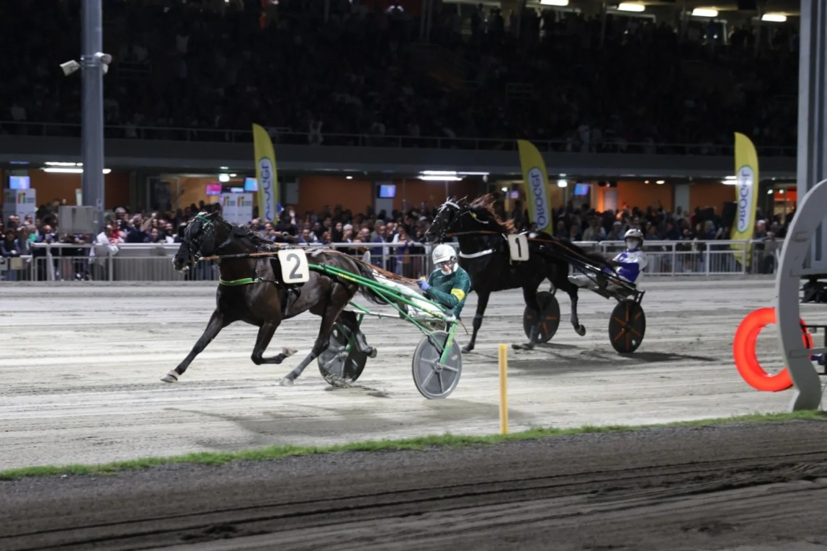 Ippica, Ippodromo di Cesena: Campionato Europeo di Trotto Orogel 2026, due prove sabato 5 settembre
