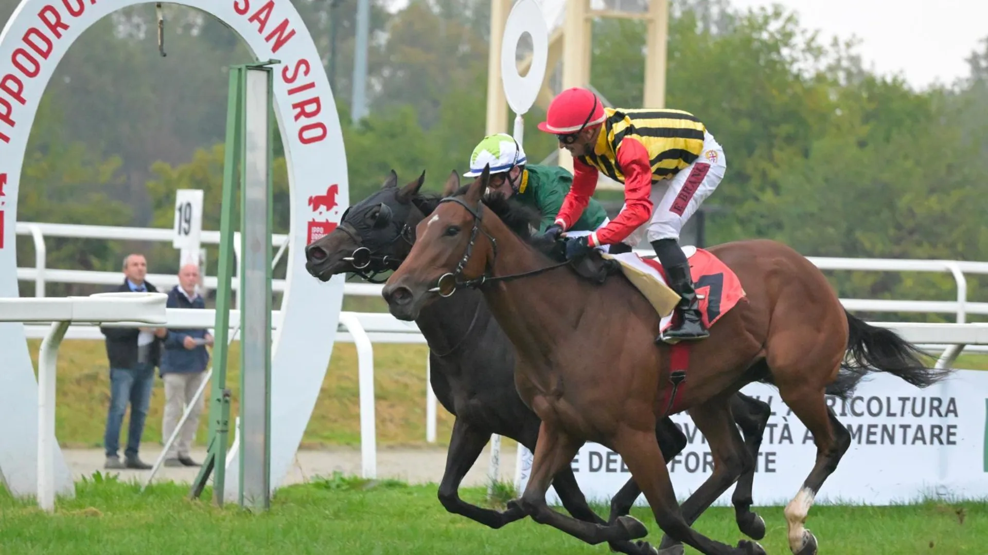Ippica, Ippodromo Snai San Siro: Piccola Piuma batte in rimonta la favorita Revoir nel Premio Verziere, nel Campobello facile vittoria di Endo Ferrari